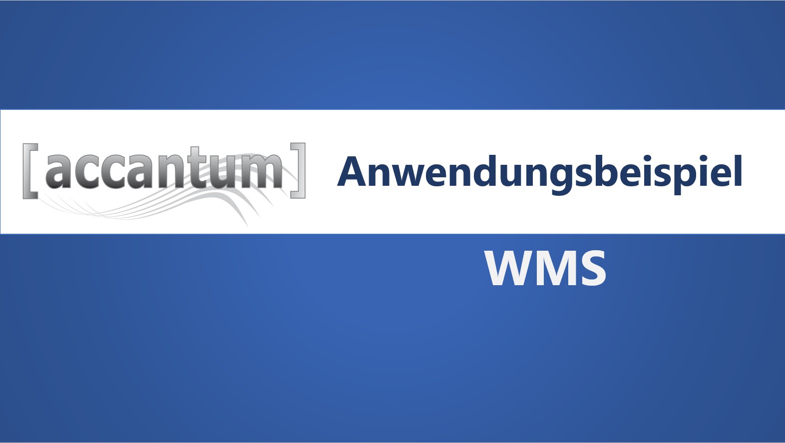 accantum WMS - Anwendungsbeispiel
